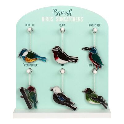 A British Bird Suncatcher Display of 24 pieces