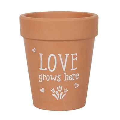 Pot de fleurs en terre cuite Love Grows Here