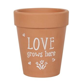 Pot de fleurs en terre cuite Love Grows Here 1