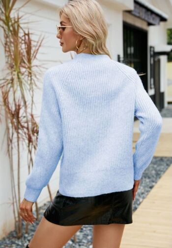 Pull en tricot confortable de couleur unie-Bleu 3