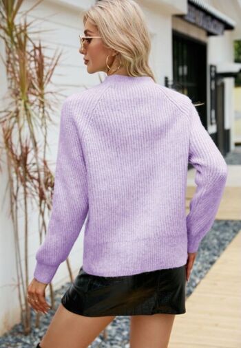 Pull en tricot confortable de couleur unie-Violet 3
