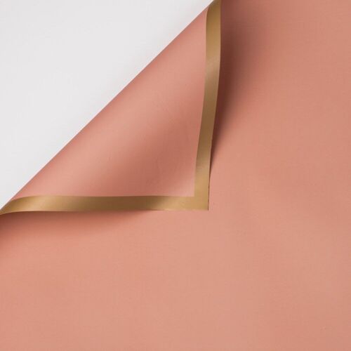 Foil sheet with gold border - Powder Beige