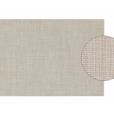 Plastic placemat, beige fine, (W / H) 45x30 cm