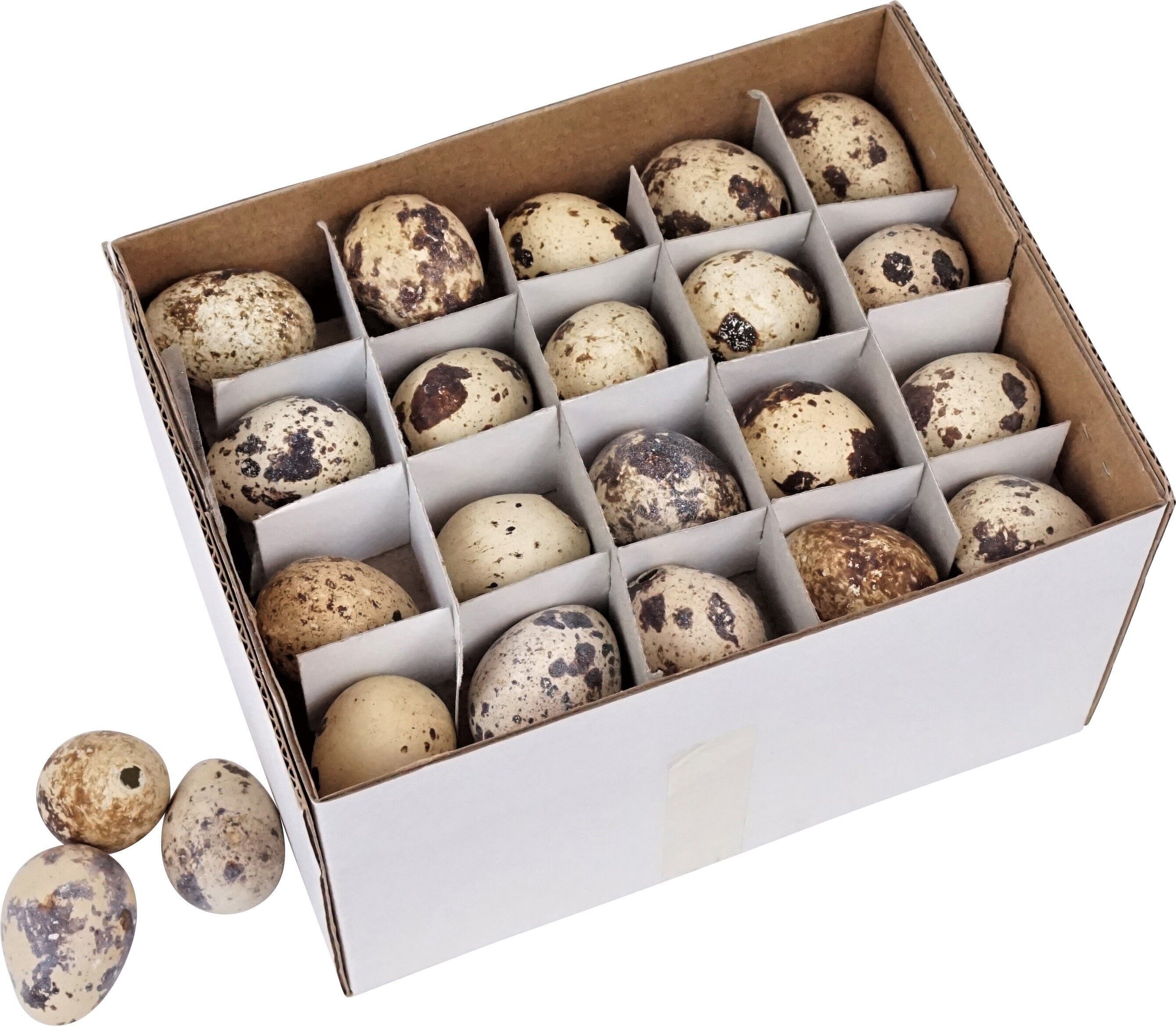 Buy wholesale QUAIL EGGS 60 PIECE SET (5480)