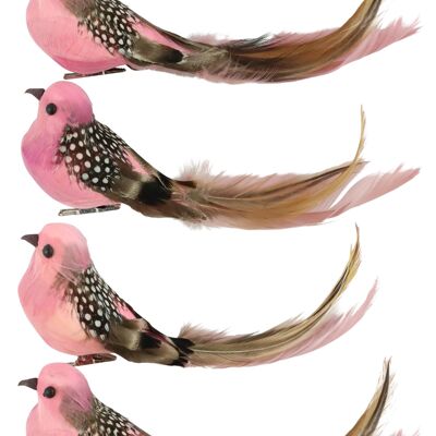 BIRD CLIPS "BIRDY" 6 PIECE SET (3192)