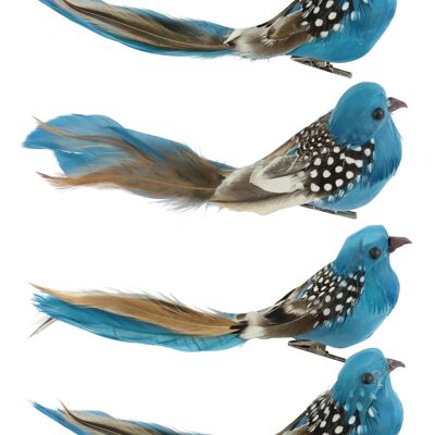BIRD CLIPS "BIRDY" 6 PIECE SET (3195)