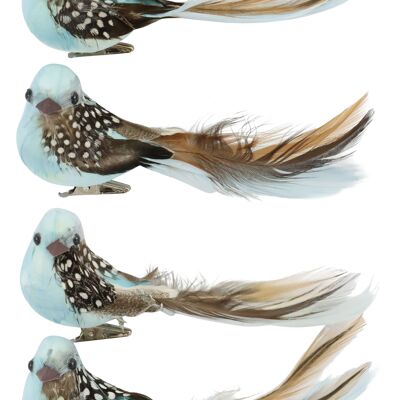 BIRD CLIPS "BIRDY" 6 PIECE SET (3214)