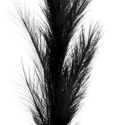 PLUMA DECORATIVA "NEGRA" 170CM (7171)