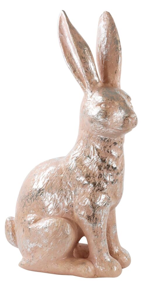 HASE"PETER" (5787)