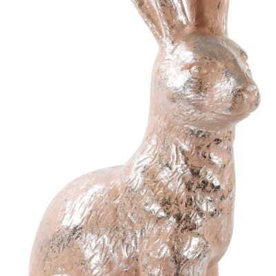 HASE"PETER" (5787)