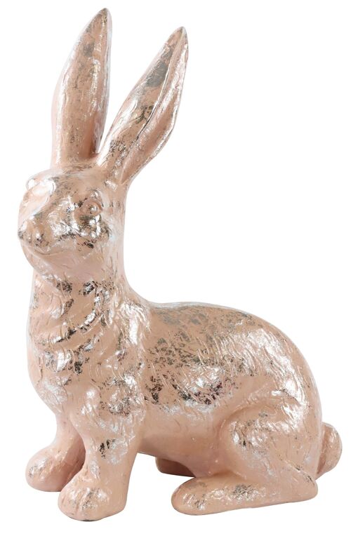 HASE"PETER" (5788)