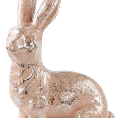 HASE"PETER" (5788)