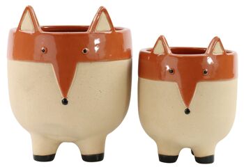 FUNKY FOX PLANTES LOT DE 2 (4104)