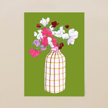 Bouquet d'été de carte postale d'olive de pois de senteur 2
