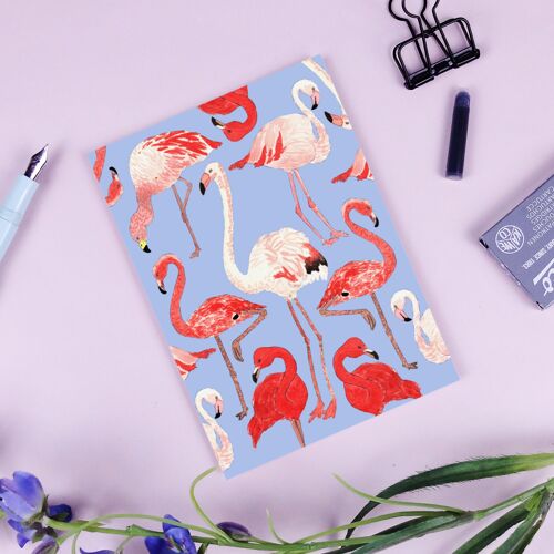 Postkarte Flamingos