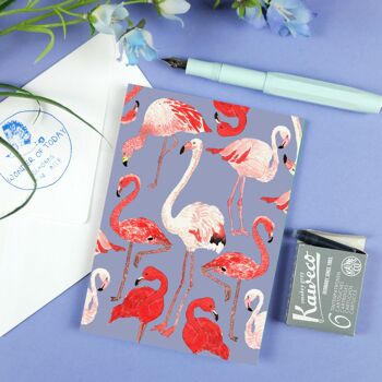 Carte postale flamants roses 6