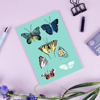 Carte postale papillons bleu ciel 1