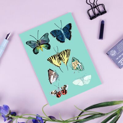 Postcard butterflies sky blue