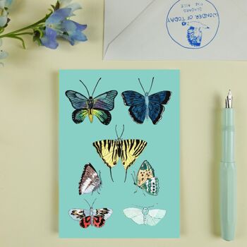 Carte postale papillons bleu ciel 2