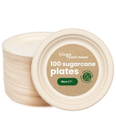 100 Sugarcane Plates