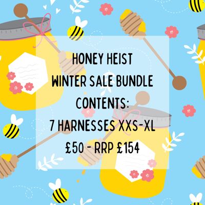 ENSEMBLE DE VENTE D'HIVER - Honey Heist