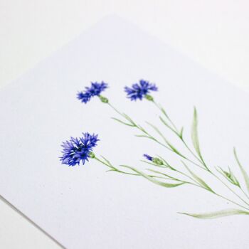 Carte postale avec bleuet, illustration aquarelle, DIN A6, durable 2