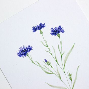 Carte postale avec bleuet, illustration aquarelle, DIN A6, durable 5
