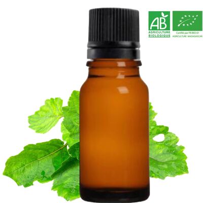 BIO – PATCHOULI – Bio-ätherisches Patchouliöl aus Madagaskar (10 ml) | FRANZÖSISCHES Unternehmen