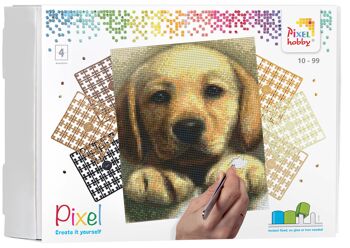 Coffret cadeau artistique DIY | Pixelhobby Kit de plaque de base Pixel Classic 4 14
