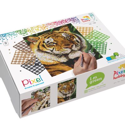 DIY Art Giftset | Pixelhobby Pixel Classic 9 Baseplate Kit
