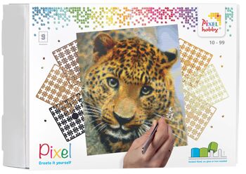 Coffret cadeau artistique DIY | Pixelhobby Kit de plaque de base Pixel Classic 9 12