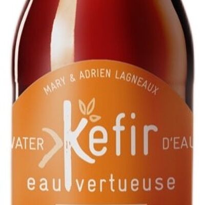 Kefir Eau Virtueuse - Orange / English Breakfast - ORGANIC-LIVANT - no fridge needed