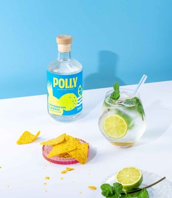 POLLY Caribbean Classic, alternative au rhum sans alcool, bouteille de 500ml 4