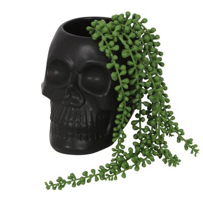 Vaso per piante con teschio nero