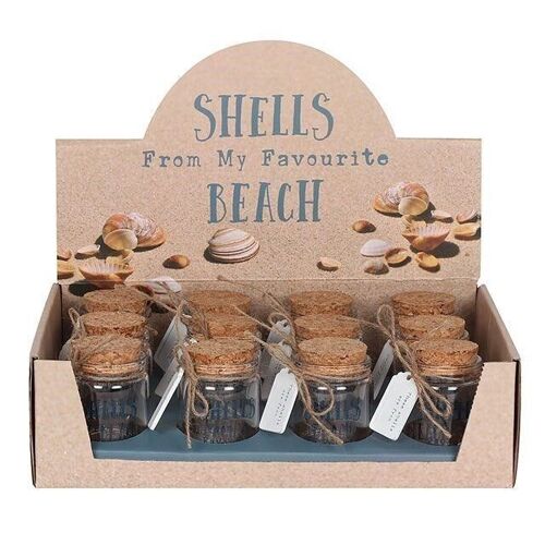 Beach Shell Glass Bottle Display of 12 Pieces