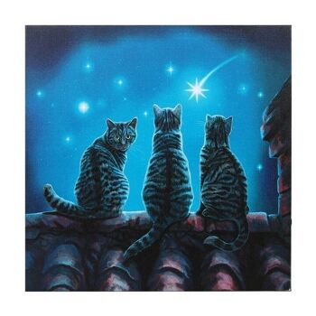 Wish Upon A Star Plaque lumineuse sur toile par Lisa Parker 2