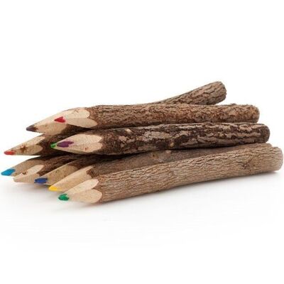 Set mit 10 Twig Pencils