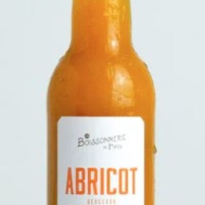 Bergeron Apricot Juice Nectar from the Rhône Valley