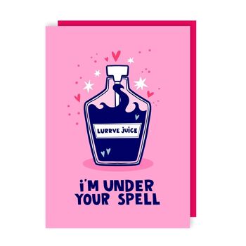 Under Your Spell Love Potion Lot de 6 cartes de la Saint-Valentin 2