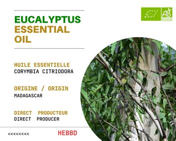 BIO - Huile Essentielle d' Eucalyptus Citronné BIO de Madagascar ( 10mL ) | Entreprise FRANÇAISE 2