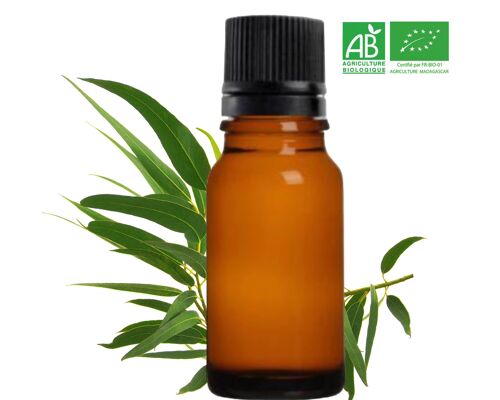 BIO - Huile Essentielle d' Eucalyptus Citronné BIO de Madagascar ( 10mL ) | Entreprise FRANÇAISE