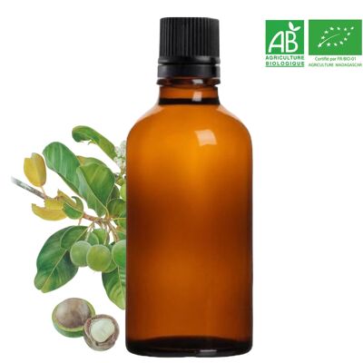 ORGANIC - Pure Calophyllum inophyllum vegetable oil (100ML) FRENCH company