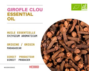 BIO - GIROFLE 100 % Huile Essentielle de Girofle Clou Bio  ( 10 mL ) |  Entreprise FRANÇAISE 2