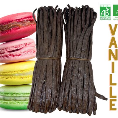 VANILLE ( 5 Kg ) Bourbon-Vanille aus Madagaskar - Gourmet Noire PREMIUM +16 cm / ca. 4gr / Bohne