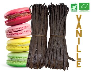 VANILLE  ( 5 Kg ) Vanille Bourbon de Madagascar - Gourmet Noire PREMIUM +16 cm / Environ 4gr / Gousse 1
