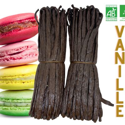 VAINILLA ( 5 Kg ) Vainilla Bourbon de Madagascar - Gourmet Noire PREMIUM +16 cm / Sobre 4gr / Grano