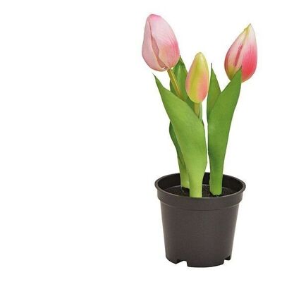 Tulips in a pot x3 made of plastic pink / pink (H) 20.5cm
