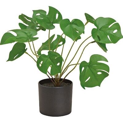 Filosofo diviso pianta artificiale monstera verde (H) 29cm