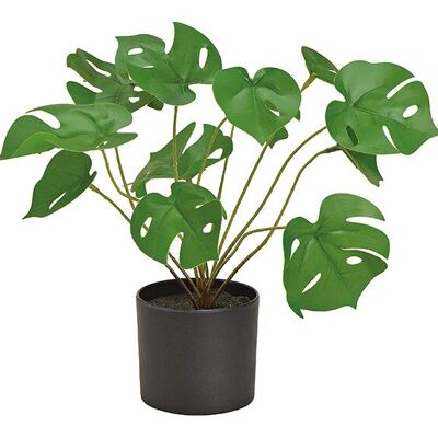 Planta artificial split filósofo monstera verde (H) 29cm