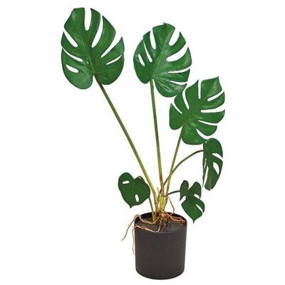 Planta artificial split filósofo monstera verde (H) 70cm
